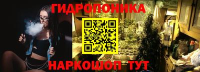 крисы Мариинск