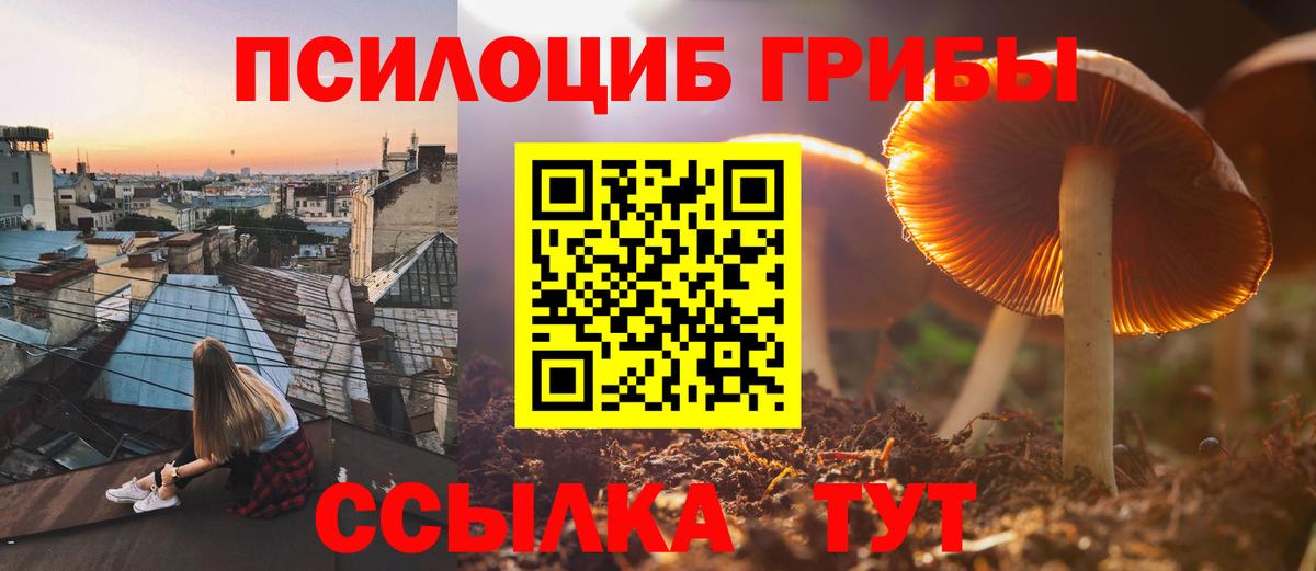 Сертолово  Псилоцибиновые грибы прущие грибы  Вход с VPN 